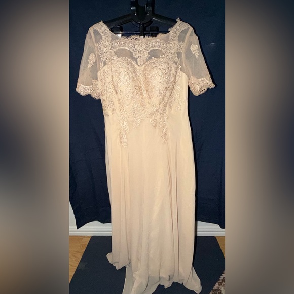 Champagne Lace Formal Dress W/ Sheer Lace Top-Size US 16 Eveng /Wdg. Guest Gown - Picture 2 of 12